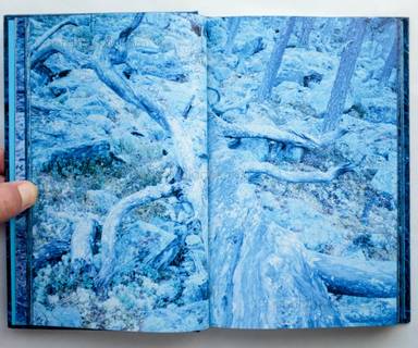 Sample page 5 for book  Morten Andersen – Blå Skog/Blue Forest