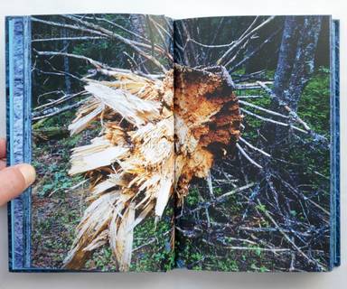 Sample page 6 for book  Morten Andersen – Blå Skog/Blue Forest