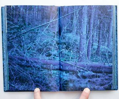 Sample page 8 for book  Morten Andersen – Blå Skog/Blue Forest