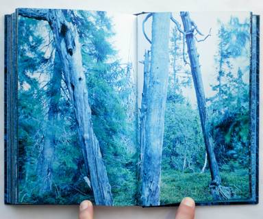 Sample page 12 for book  Morten Andersen – Blå Skog/Blue Forest