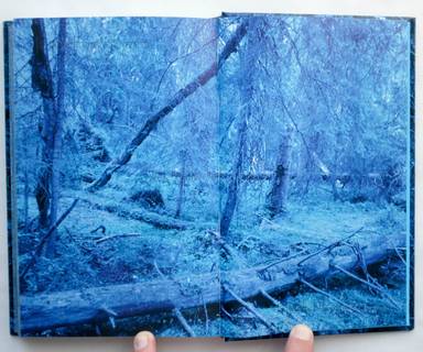 Sample page 14 for book  Morten Andersen – Blå Skog/Blue Forest