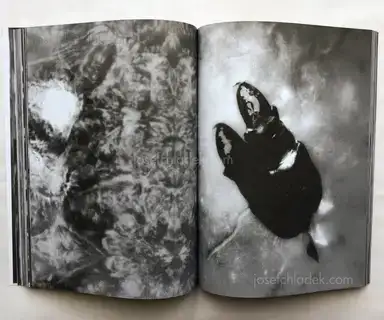 Sample page 7 for book "Binder, Alexander – Alexander Binder - Untitled" Sample page 7 for book "Binder, Alexander – Alexander Binder - Untitled"