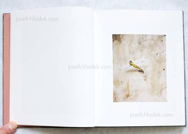 Sample page 7 for book "Patterson, Christian – Christian Patterson - Redheaded Peckerwood" Sample page 7 for book "Patterson, Christian – Christian Patterson - Redheaded Peckerwood"