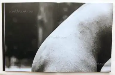 Sample page 13 for book "Moreira, Nuno – Nuno Moreira - She Looks into Me" Sample page 13 for book "Moreira, Nuno – Nuno Moreira - She Looks into Me"