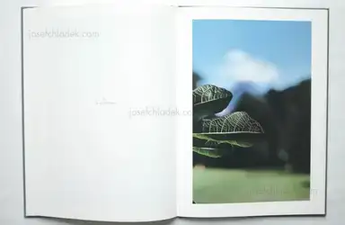 Sample page 6 for book "Weifenbach, Terry – Terri Weifenbach - In Your Dreams" Sample page 6 for book "Weifenbach, Terry – Terri Weifenbach - In Your Dreams"