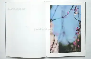 Sample page 5 for book "Weifenbach, Terry – Terri Weifenbach - In Your Dreams" Sample page 5 for book "Weifenbach, Terry – Terri Weifenbach - In Your Dreams"