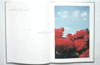 Sample page 4 for book "Weifenbach, Terry – Terri Weifenbach - In Your Dreams" Sample page 4 for book "Weifenbach, Terry – Terri Weifenbach - In Your Dreams"