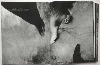 Sample page 20 for book  Daido Moriyama – Farewell Photography (Revised Version)