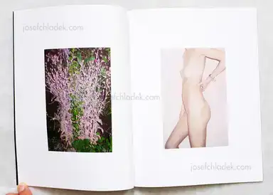 Sample page 23 for book "Aaron McElroy" Sample page 23 for book "Aaron McElroy"