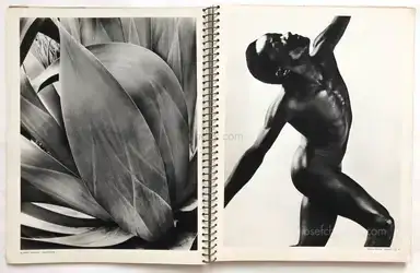 Sample page 16 for book "Arts et Métiers Graphiques – Arts et Métiers Graphiques - Photographie 1933-34" Sample page 16 for book "Arts et Métiers Graphiques – Arts et Métiers Graphiques - Photographie 1933-34"