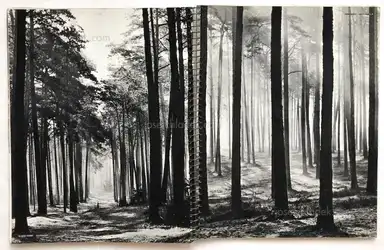 Sample page 8 for book "Arts et Métiers Graphiques – Arts et Métiers Graphiques - Photographie 1933-34" Sample page 8 for book "Arts et Métiers Graphiques – Arts et Métiers Graphiques - Photographie 1933-34"