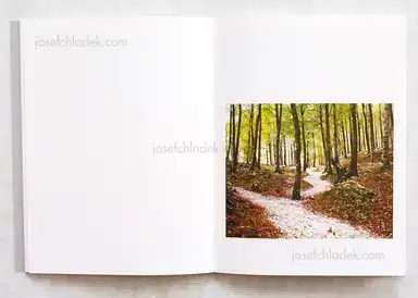 Sample page 4 for book "Gaffney, Paul – Paul Gaffney - We Make the Path by Walking" Sample page 4 for book "Gaffney, Paul – Paul Gaffney - We Make the Path by Walking"