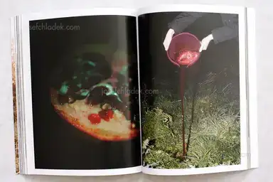 Sample page 4 for book "González Fernández, Ángel Luis (Ed.) – Ángel Luis González Fernández (Ed.) - New Irish Works" Sample page 4 for book "González Fernández, Ángel Luis (Ed.) – Ángel Luis González Fernández (Ed.) - New Irish Works"