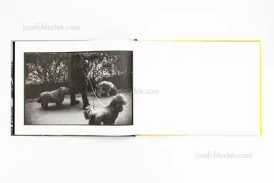 Sample page 9 for book "Dietrich, Alex – Alex Dietrich - Da letzte Schmäh" Sample page 9 for book "Dietrich, Alex – Alex Dietrich - Da letzte Schmäh"