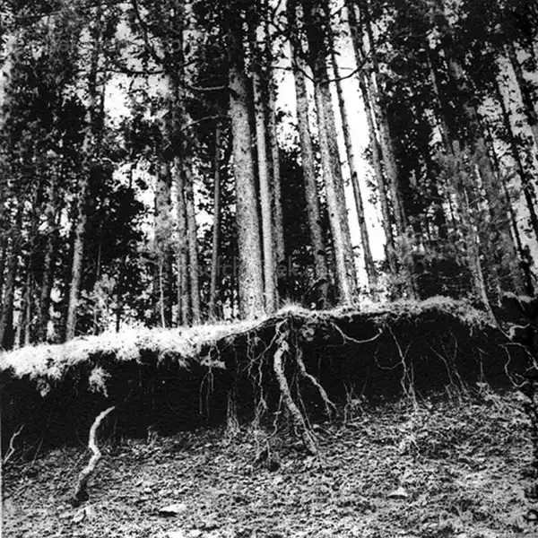 David Mondedeu - Sonnets of 40 Winters and 40 Springs - Spread 10