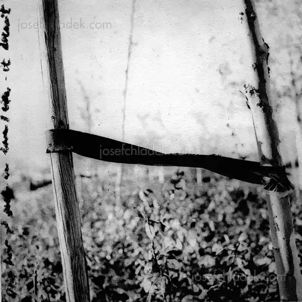 David Mondedeu - Sonnets of 40 Winters and 40 Springs - Spread 13