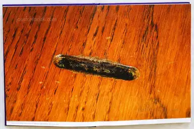 Sample page 6 for book "Power, Mark – Mark Power - Mass" Sample page 6 for book "Power, Mark – Mark Power - Mass"