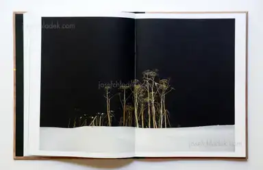 Sample page 7 for book "Zambon, Filippo – Filippo Zambon - The Komi Diary" Sample page 7 for book "Zambon, Filippo – Filippo Zambon - The Komi Diary"