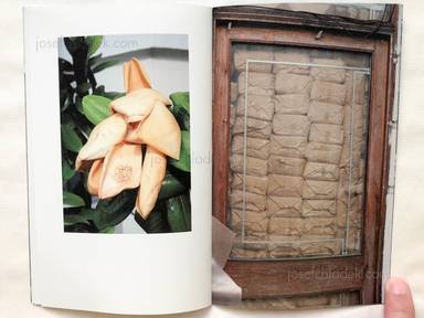 Sample page 7 for book  Uwe Bedenbecker – London Windows, Nature & One Tattoo