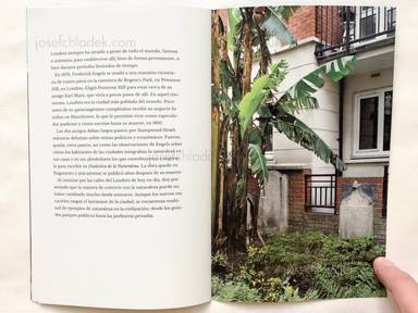 Sample page 8 for book  Uwe Bedenbecker – London Windows, Nature & One Tattoo