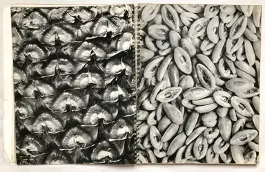 Sample page 18 for book "Arts et Métiers Graphiques – Arts et Métiers Graphiques - Photographie 1938" Sample page 18 for book "Arts et Métiers Graphiques – Arts et Métiers Graphiques - Photographie 1938"