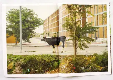 Sample page 2 for book "Spottorno, Carlos – Carlos Spottorno - The Pigs" Sample page 2 for book "Spottorno, Carlos – Carlos Spottorno - The Pigs"