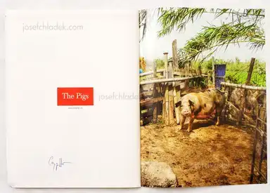 Sample page 1 for book "Spottorno, Carlos – Carlos Spottorno - The Pigs" Sample page 1 for book "Spottorno, Carlos – Carlos Spottorno - The Pigs"