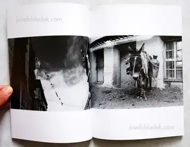 Sample page 6 for book "Fujiwara, Atsushi / Tojimbara, Shin-ichiro / Agake, Masahito / Okamoto, Shohshi – Asphalt VIII - Atsushi Fujiwara, Shin-ichiro Tojimbara, Akiko Sudo, Taimei Matsunaga" Sample page 6 for book "Fujiwara, Atsushi / Tojimbara, Shin-ichiro / Agake, Masahito / Okamoto, Shohshi – Asphalt VIII - Atsushi Fujiwara, Shin-ichiro Tojimbara, Akiko Sudo, Taimei Matsunaga"