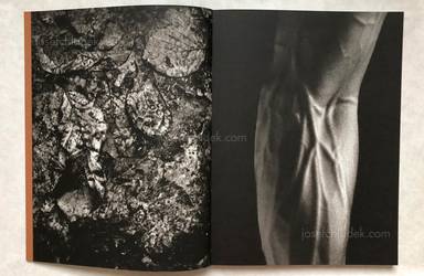 Sample page 15 for book "Bitesnich, Andreas – Andreas H. Bitesnich - Momentum" Sample page 15 for book "Bitesnich, Andreas – Andreas H. Bitesnich - Momentum"