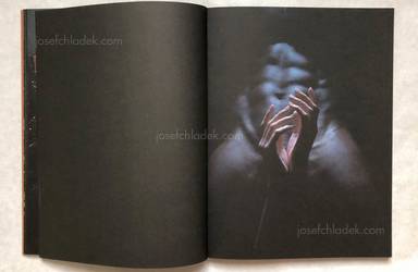 Sample page 5 for book Andreas H. Bitesnich &ndash; Momentum