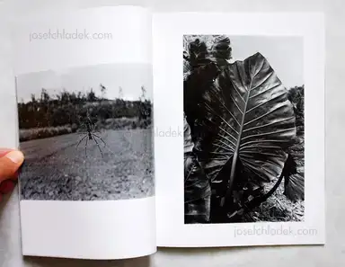 Sample page 6 for book "Fujiwara, Atsushi / Aizawa, Yasuyuki / Sakurai, Eiji / Nishioka, Hirotoshi – Asphalt IX - Atsushi Fujiwara, Yasuyuki Aizawa, Eiji Sakurai, Hirotoshi Nishioka" Sample page 6 for book "Fujiwara, Atsushi / Aizawa, Yasuyuki / Sakurai, Eiji / Nishioka, Hirotoshi – Asphalt IX - Atsushi Fujiwara, Yasuyuki Aizawa, Eiji Sakurai, Hirotoshi Nishioka"