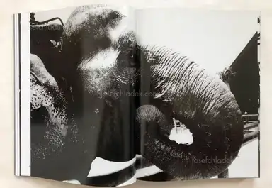 Sample page 23 for book "Moriyama, Daido – Daido Moriyama - Record 森山 大道 記録" Sample page 23 for book "Moriyama, Daido – Daido Moriyama - Record 森山 大道 記録"