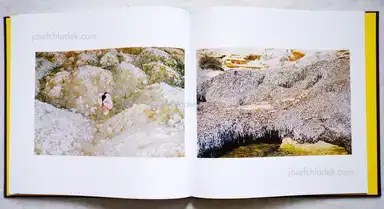 Sample page 4 for book "Synchrodogs – Synchrodogs - Byzantine" Sample page 4 for book "Synchrodogs – Synchrodogs - Byzantine"