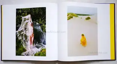 Sample page 2 for book "Synchrodogs – Synchrodogs - Byzantine" Sample page 2 for book "Synchrodogs – Synchrodogs - Byzantine"