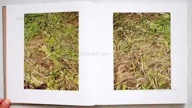 Sample page 8 for book "Schmidt, Michael – Michael Schmidt - Lebensmittel" Sample page 8 for book "Schmidt, Michael – Michael Schmidt - Lebensmittel"