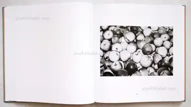 Sample page 5 for book "Schmidt, Michael – Michael Schmidt - Lebensmittel" Sample page 5 for book "Schmidt, Michael – Michael Schmidt - Lebensmittel"