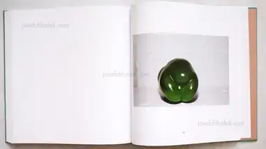 Sample page 3 for book "Schmidt, Michael – Michael Schmidt - Lebensmittel" Sample page 3 for book "Schmidt, Michael – Michael Schmidt - Lebensmittel"