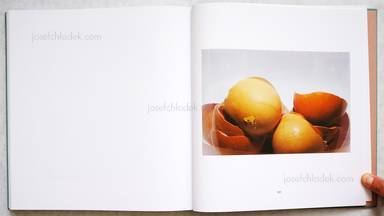 Sample page 2 for book "Schmidt, Michael – Michael Schmidt - Lebensmittel" Sample page 2 for book "Schmidt, Michael – Michael Schmidt - Lebensmittel"