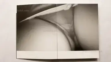 Sample page 21 for book "Tosa, Ken – Ken Tosa - Animals : Alternate Take" Sample page 21 for book "Tosa, Ken – Ken Tosa - Animals : Alternate Take"