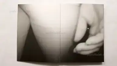 Sample page 18 for book "Tosa, Ken – Ken Tosa - Animals : Alternate Take" Sample page 18 for book "Tosa, Ken – Ken Tosa - Animals : Alternate Take"