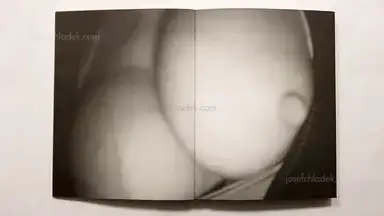 Sample page 14 for book "Tosa, Ken – Ken Tosa - Animals : Alternate Take" Sample page 14 for book "Tosa, Ken – Ken Tosa - Animals : Alternate Take"