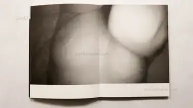 Sample page 7 for book "Tosa, Ken – Ken Tosa - Animals : Alternate Take" Sample page 7 for book "Tosa, Ken – Ken Tosa - Animals : Alternate Take"