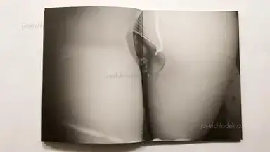 Sample page 4 for book "Tosa, Ken – Ken Tosa - Animals : Alternate Take" Sample page 4 for book "Tosa, Ken – Ken Tosa - Animals : Alternate Take"