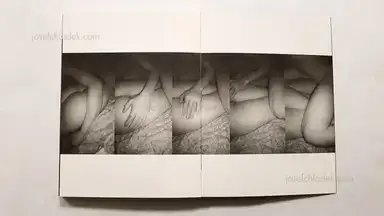 Sample page 1 for book "Tosa, Ken – Ken Tosa - Animals : Alternate Take" Sample page 1 for book "Tosa, Ken – Ken Tosa - Animals : Alternate Take"