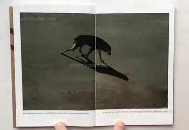 Sample page 3 for book "Connew, Bruce – Bruce Connew - folded eggs" Sample page 3 for book "Connew, Bruce – Bruce Connew - folded eggs"