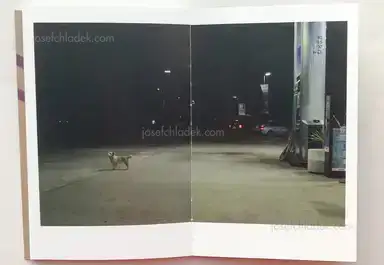 Sample page 1 for book "Connew, Bruce – Bruce Connew - folded eggs" Sample page 1 for book "Connew, Bruce – Bruce Connew - folded eggs"