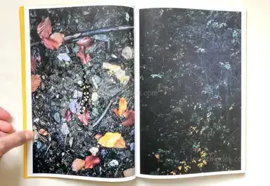 Sample page 14 for book "Brugner, Simon – Simon Brugner - The Arsenic Eaters" Sample page 14 for book "Brugner, Simon – Simon Brugner - The Arsenic Eaters"