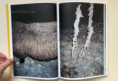 Sample page 12 for book "Brugner, Simon – Simon Brugner - The Arsenic Eaters" Sample page 12 for book "Brugner, Simon – Simon Brugner - The Arsenic Eaters"