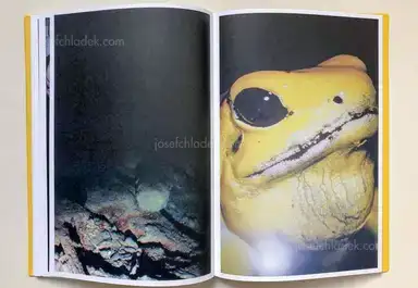 Sample page 3 for book "Brugner, Simon – Simon Brugner - The Arsenic Eaters" Sample page 3 for book "Brugner, Simon – Simon Brugner - The Arsenic Eaters"