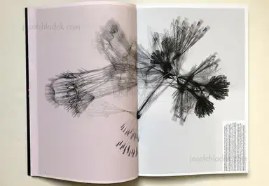 Sample page 15 for book "Jansen, Jos – Jos Jansen - Universe / Facts in the post-truth era" Sample page 15 for book "Jansen, Jos – Jos Jansen - Universe / Facts in the post-truth era"